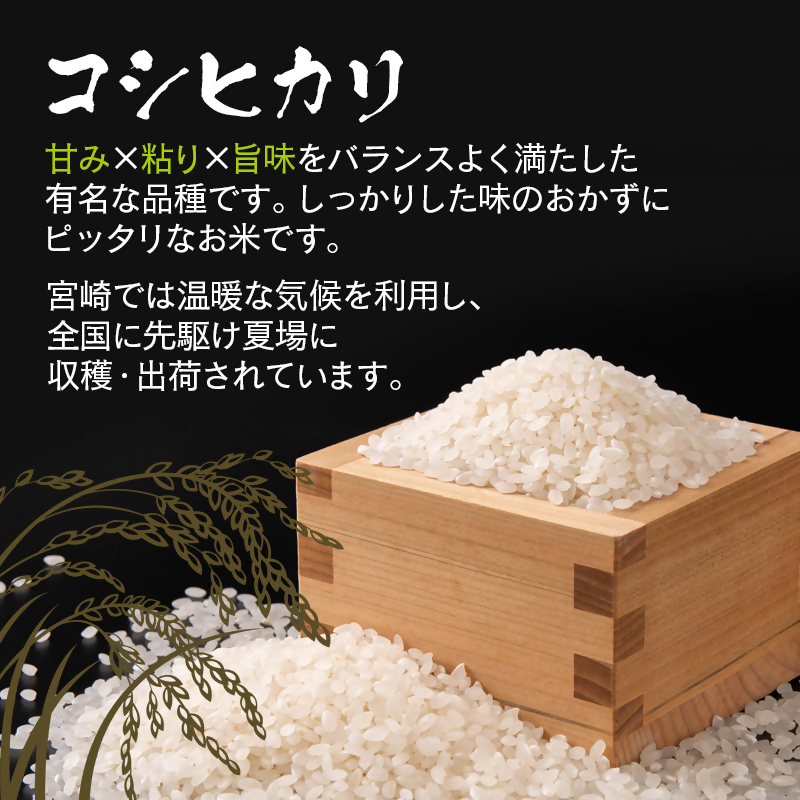 3ケ月定期便 令和8年産 新米こしひかり 『この華米』5kg×3 合計15kg 精米 白米 コシヒカリ【先行予約】＜14-19a＞