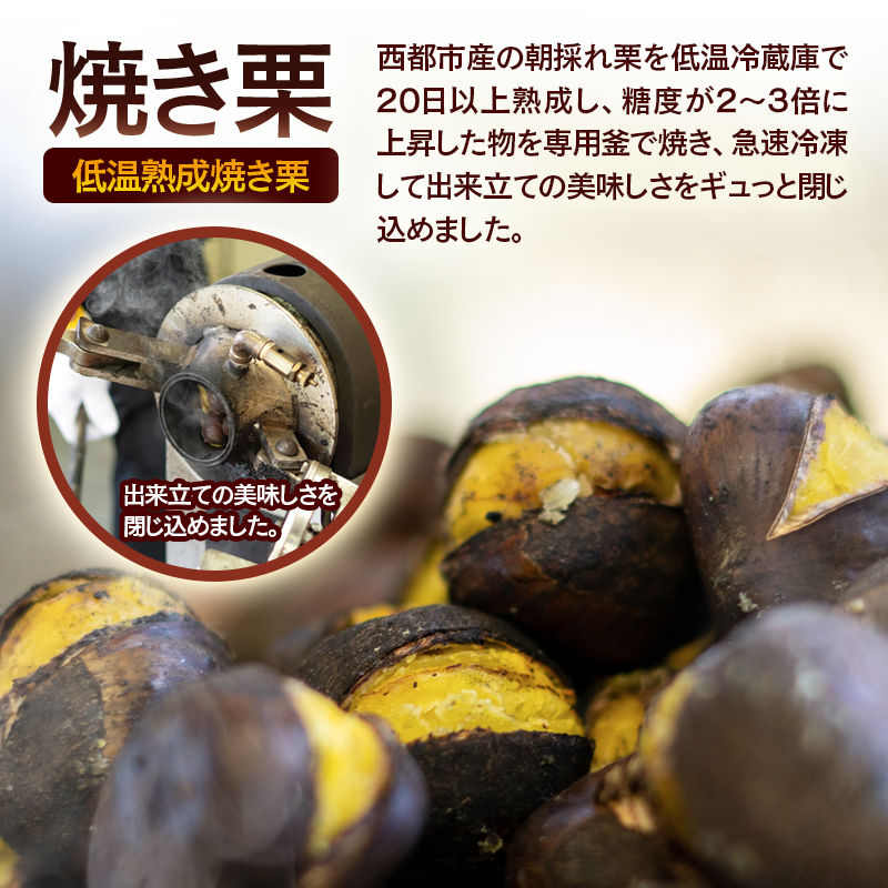 秋の味覚！ 熟成焼き栗 2パック 合計500g くり 栗  国産 生栗 果物 フルーツ スイーツ＜49-12a＞