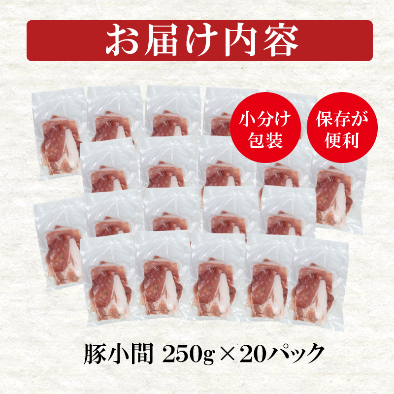 宮崎県産豚肉 小間切れ5kg  小分け250g×20パック＜52-5a＞