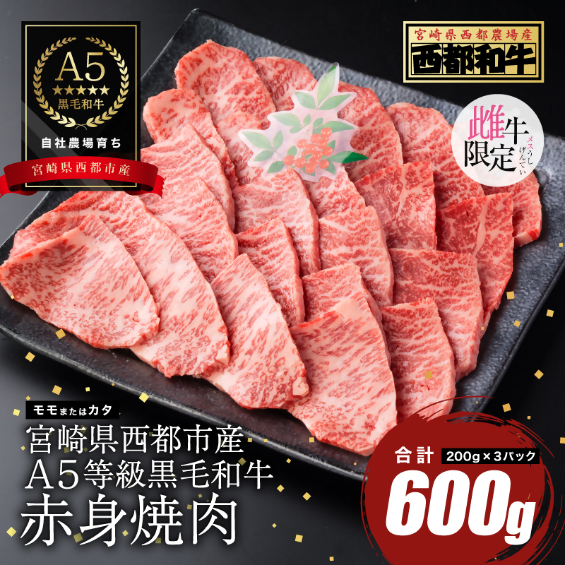 【雌牛限定！最高品質のA5等級 】厳選の黒毛和牛 赤身焼肉 600g （200g×3）オレイン酸含有率55%以上 小分け 牛肉 国産 宮崎県産 西都市産【カミチクファーム・西都和牛】＜ 62-4a＞
