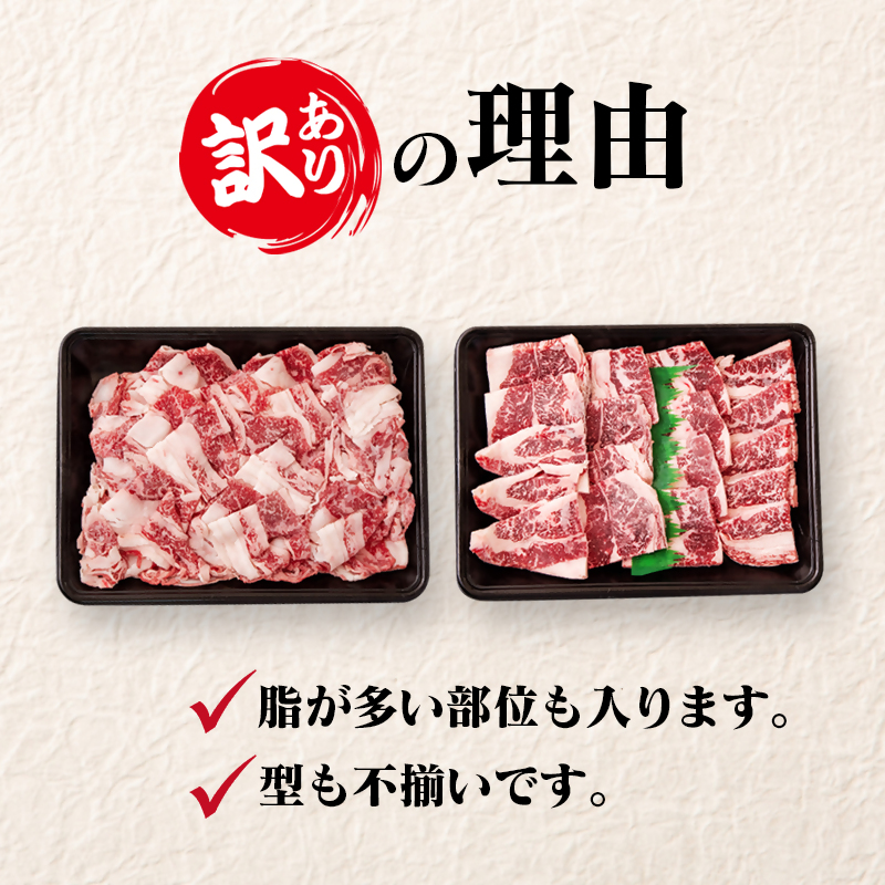 宮崎牛  訳あり切り落とし食べ比べ スライス＆焼肉 計1kg ブランド牛 A4～A5等級 内閣総理大臣賞4連覇＜58-13a＞