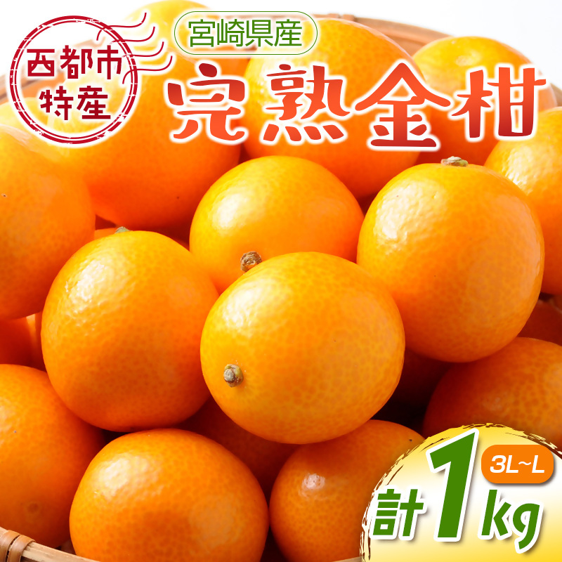 2027年発送 宮崎県西都市産 完熟金柑 きんかん1kg（3L～L）西都市特産品 先行予約＜18-7a＞
