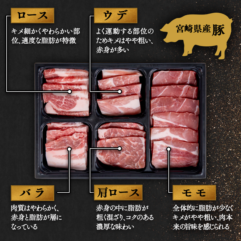 宮崎牛＆宮崎県産豚肉 焼肉10種盛り 食べ比べセット計600g  4等級以上 内閣総理大臣賞4連覇＜47-3b＞