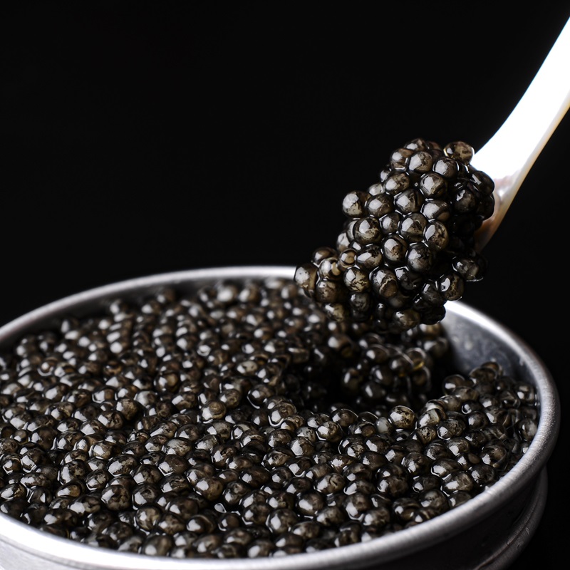宮崎キャビア MIYAZAKI CAVIAR 1983 400g(100g×4個）国産「ジャパンキャビア」＜25-3a＞