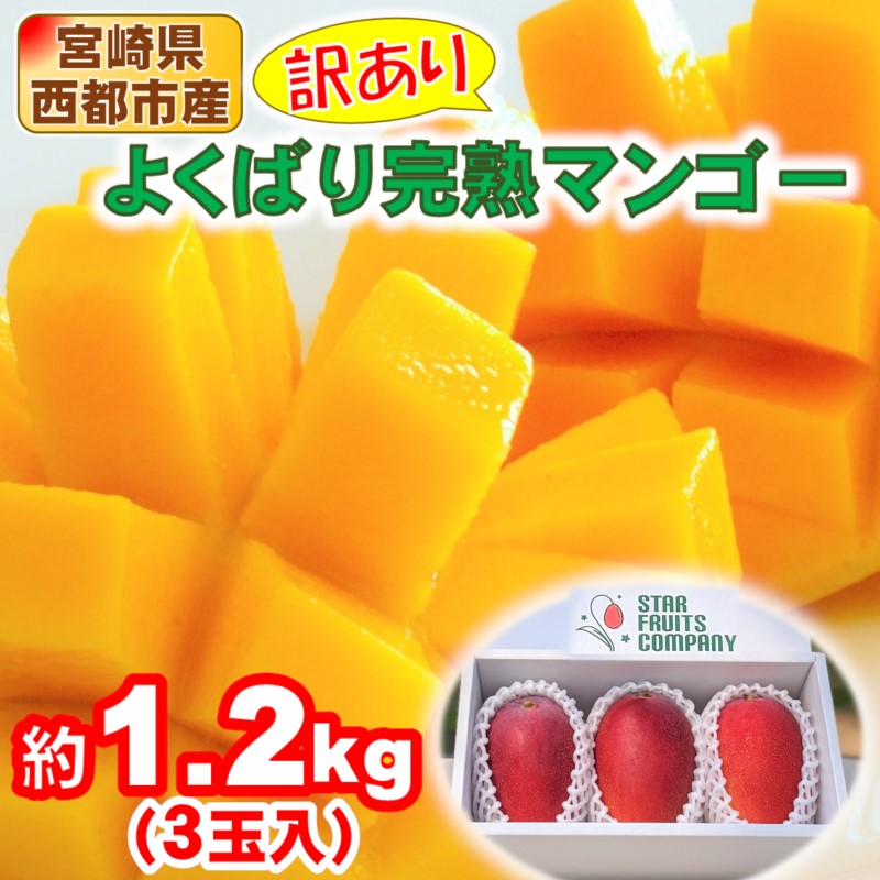 2027年発送 訳あり よくばり完熟マンゴー3玉 合計約1.2kg 生産者直送【マンゴー専門 スターフルーツカンパニ】先行予約＜33-1b＞