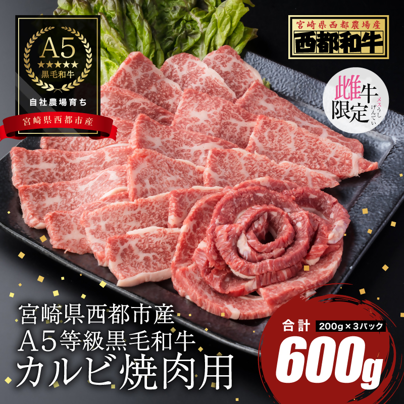 【雌牛限定！最高品質のA5等級 】厳選の黒毛和牛 カルビ焼肉 600g（200g×3）オレイン酸含有率55%以上 小分け 牛肉 国産 宮崎県産 西都市産【カミチクファーム・西都和牛】＜62-7a＞