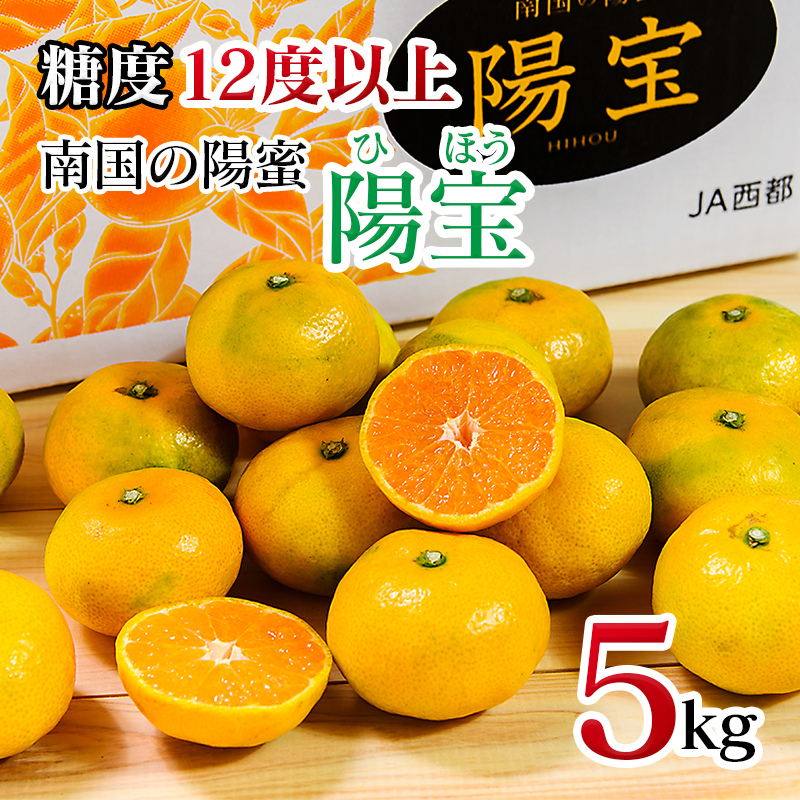 極早生みかん 5kg「南国の陽蜜・陽宝」宮崎県西都産【先行予約】＜2-6a＞