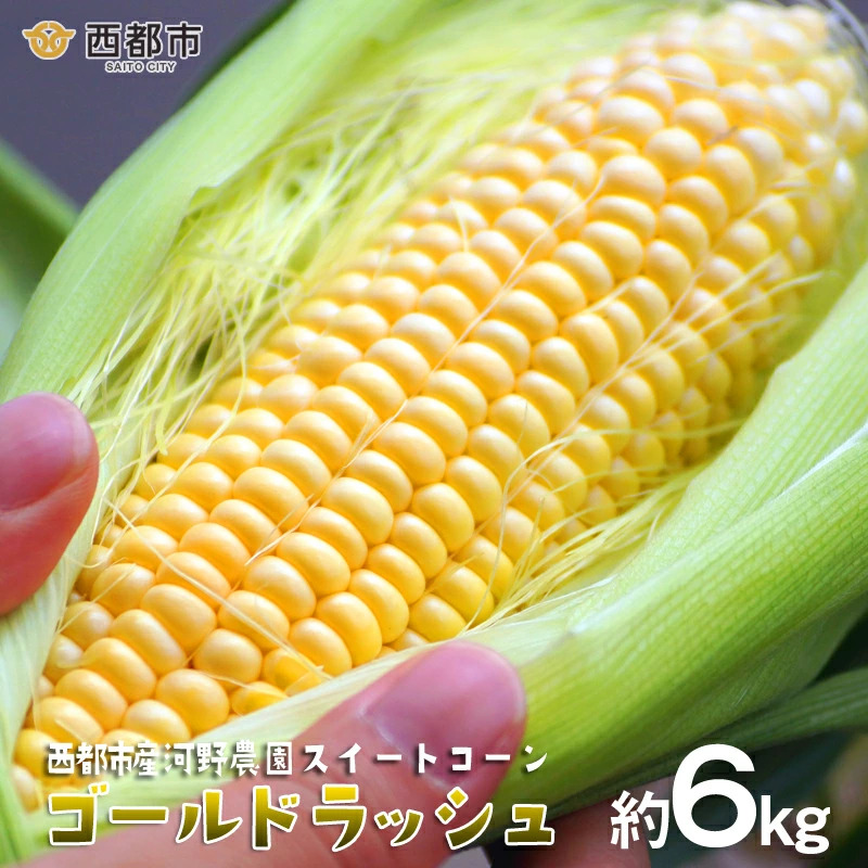 2027年発送　河野農園 朝どれスイートコーン『ゴールドラッシュ』約6kg【先行予約】＜23-1a＞