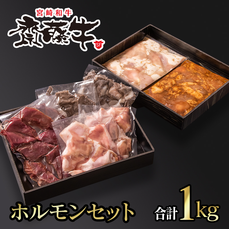 宮崎和牛 齋藤牛 ホルモンセット 合計1kg＜5-2a＞