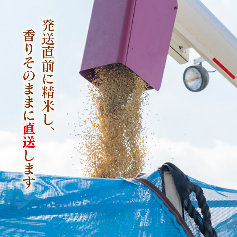 【令和8年産新米・先行予約】ヒノヒカリ 10kg ※10月下旬以降順次発送予定 精米済み＜ 57-4a＞