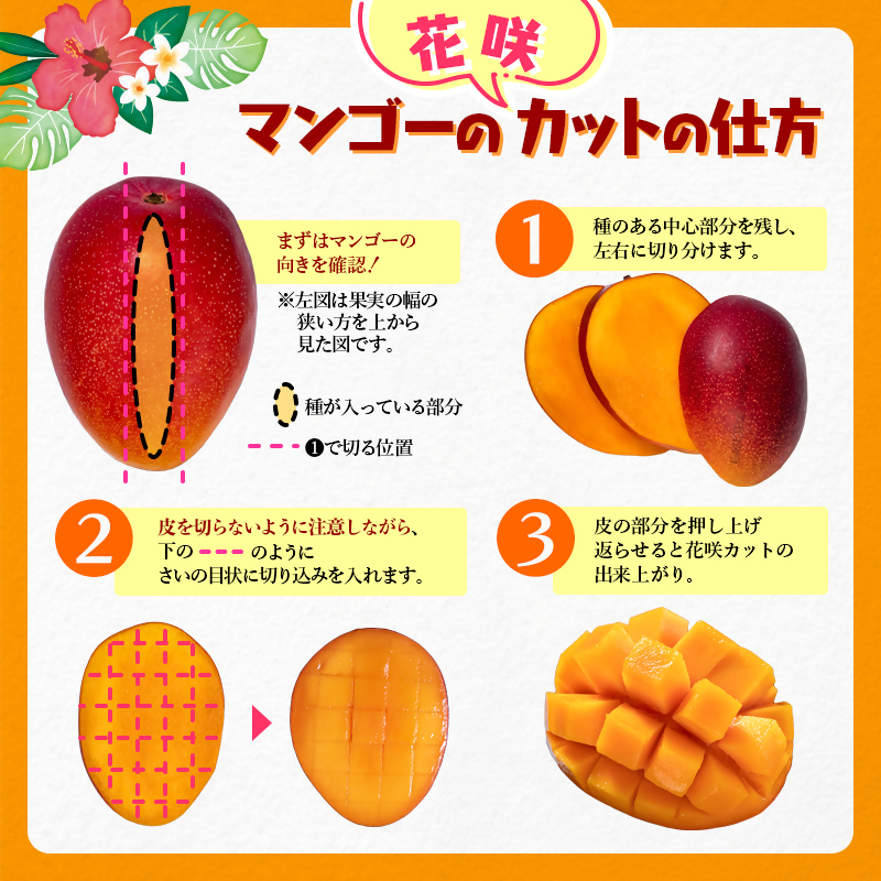 2027年発送【糖度12度以上】西都産完熟マンゴー  特大 4L×2玉  JA 大玉【先行予約】宮崎完熟マンゴー＜2-1a＞