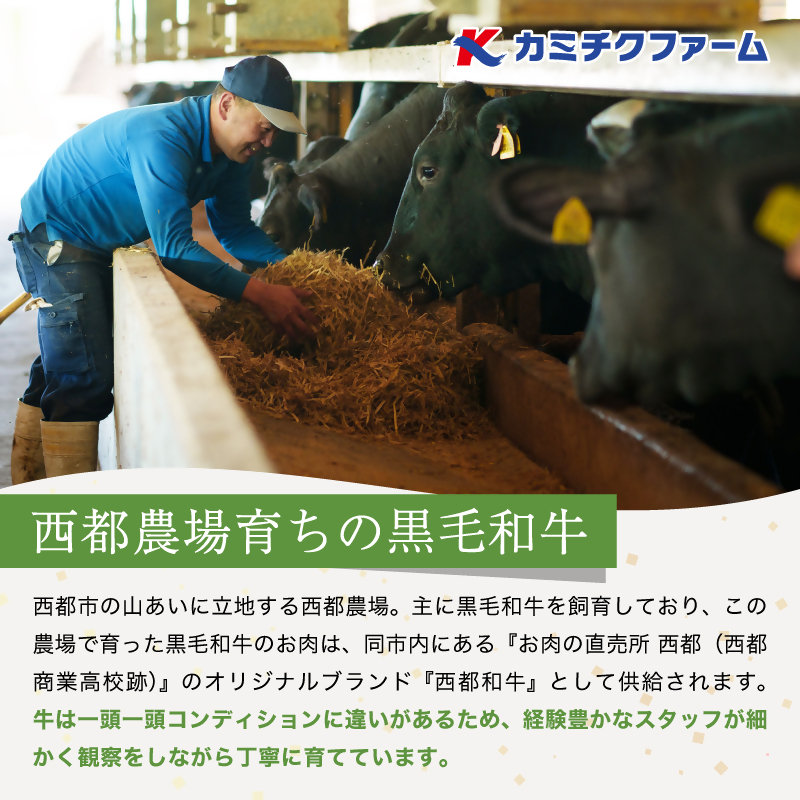 【雌牛限定！最高品質のA5等級 】厳選の黒毛和牛 肩ローススライス すき焼き 焼きしゃぶ500g （250ｇ×2）オレイン酸含有率55%以上 小分け 牛肉 国産 宮崎県産 西都市産【カミチクファーム・西都和牛】＜62-2a＞