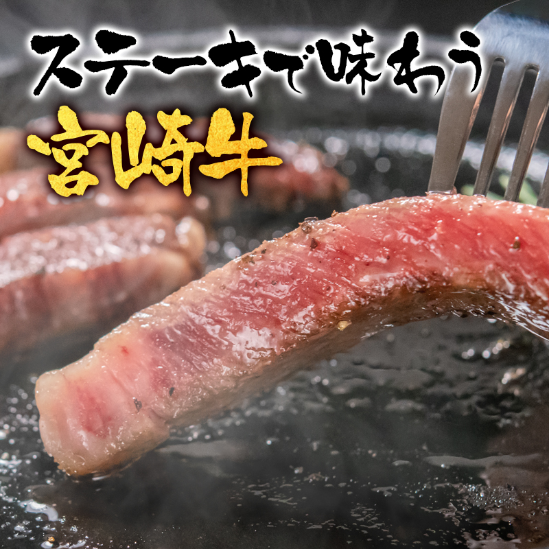 宮崎牛ロースステーキ2枚 （250g×2枚） 内閣総理大臣賞4連覇 ミヤチク＜47-15b＞