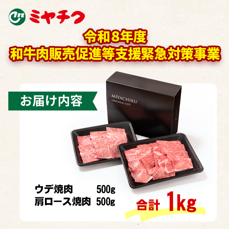 【畜産農家応援】宮崎牛 赤身＆肩ロース 食べ比べ焼肉セット１kg（500g ×2） 4等級以上 内閣総理大臣賞4連覇 ミヤチク＜47-10b＞