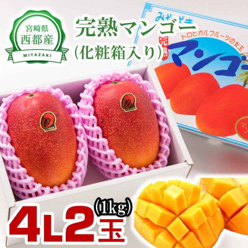 2027年発送【糖度12度以上】西都産完熟マンゴー  特大 4L×2玉  JA 大玉【先行予約】宮崎完熟マンゴー＜2-1a＞