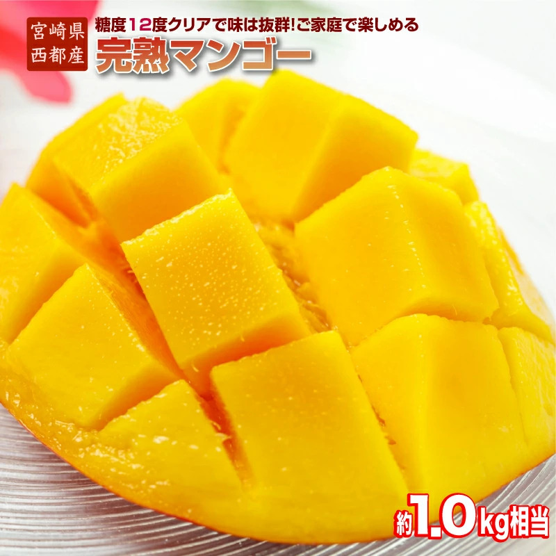 2027年発送【JA選果】訳ありご家庭用 完熟マンゴー 約1kg 糖度12度以上 3～4玉入り【先行予約】西都産＜2-3a＞