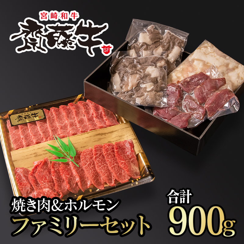 黒毛和牛「宮崎和牛 齋藤牛」 焼肉＆ホルモン ファミリーセット 合計900g＜5-10a＞