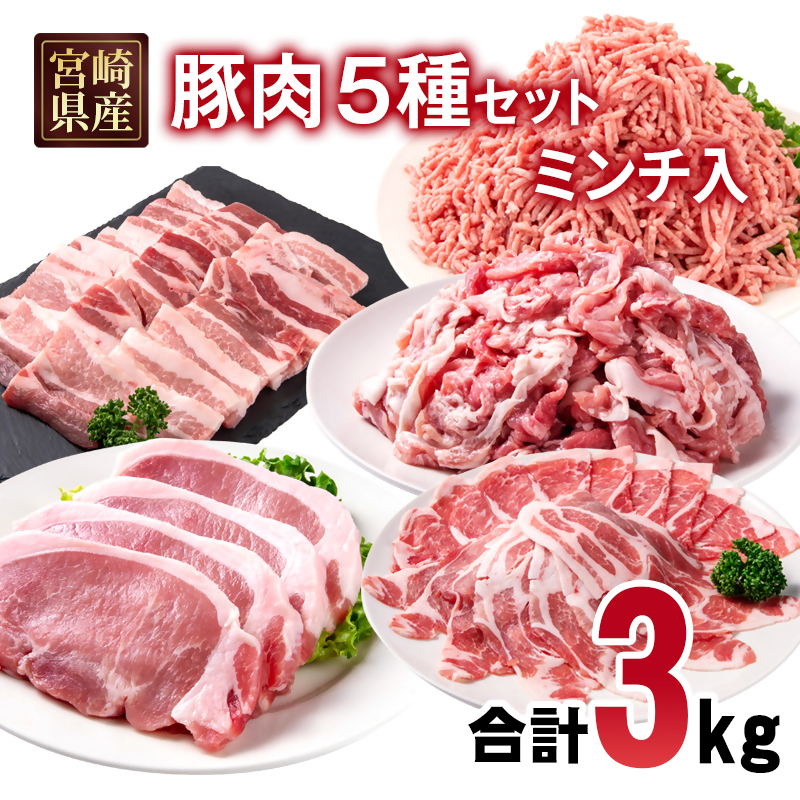 宮崎県産豚肉 5種 3kgセット スライス とんかつ 焼肉 切り落とし ミンチ 小分け 11パック しゃぶしゃぶ 豚すき焼き トンカツ バラ焼肉 炒め物 切落し ミンチ 挽肉＜70-22a＞