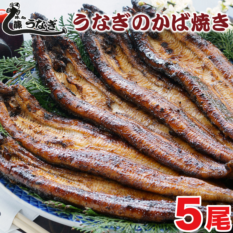 藤うなぎ かば焼き5尾 国産うなぎ＜ 15-3a＞