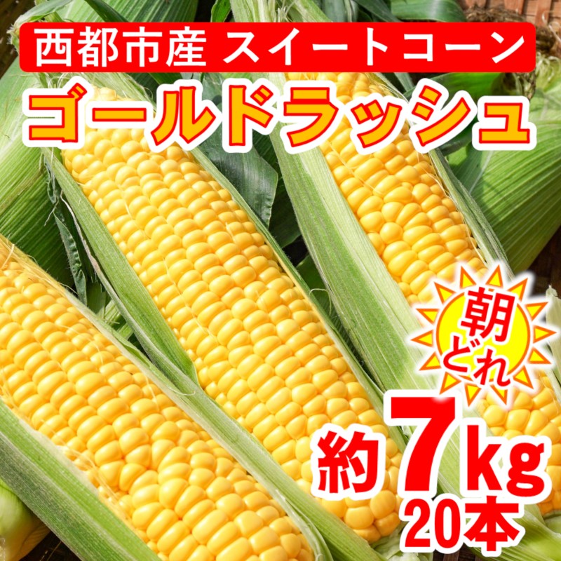 2027年発送 朝どれ スイートコーン ゴールドラッシュ 約7kg 20本  西都市産とうもろこし トウモロコシ 先行予約＜26-7a＞