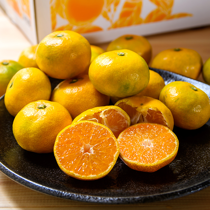 極早生みかん 5kg「南国の陽蜜・陽宝」宮崎県西都産【先行予約】＜2-6a＞