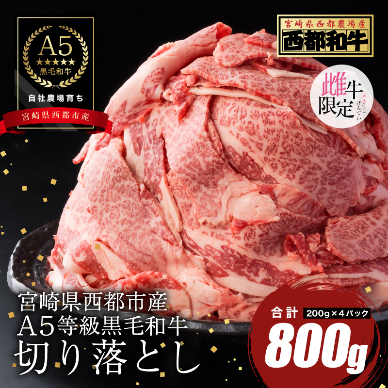 【雌牛限定！最高品質のA5等級 】厳選の黒毛和牛切り落とし 800g （200g×4）オレイン酸含有率55%以上  小分け 牛肉 国産 宮崎県産 西都市産・肉じゃが・すき焼き等【カミチクファーム・西都和牛】＜62-1a＞