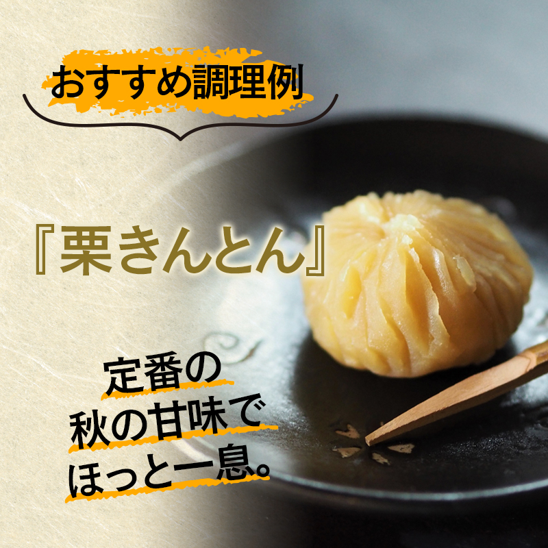 【訳あり】低温熟成栗 国産むき栗 500g 糖度2～3倍  西都市産くり 栗  国産 生栗 果物 フルーツ 栗きんとん スイーツに【先行予約】＜49-3a＞