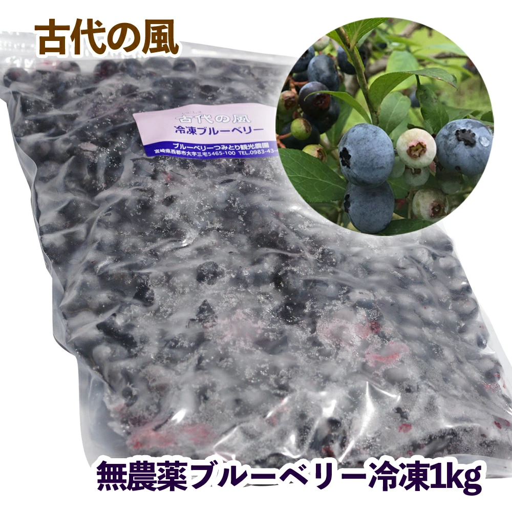 毎日の健康に！冷凍 無農薬ブルーベリー１kg 【先行予約】『古代の風』＜23-8a＞
