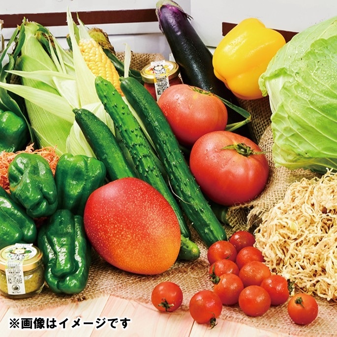 2027年発送 完熟マンゴー スイートコーン入り 農家直送 旬の新鮮野菜詰め合わせセット【先行予約】＜32-3a＞