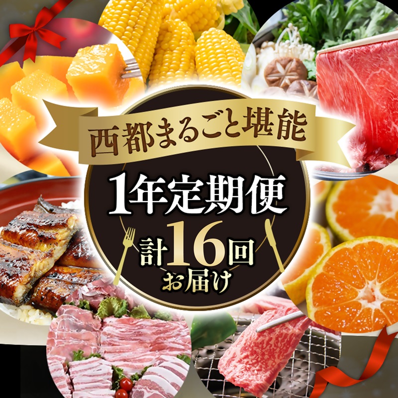 2027年発送【季節の定期便】12ヶ月毎月届く 西都まるごと堪能セット16品お届け！【プラチナコース】先行予約 Eコース 完熟マンゴー 宮崎牛 うなぎ 牛肉 豚肉 鶏肉 もつ鍋 スイートコーン いちご トマト＜1-5a＞