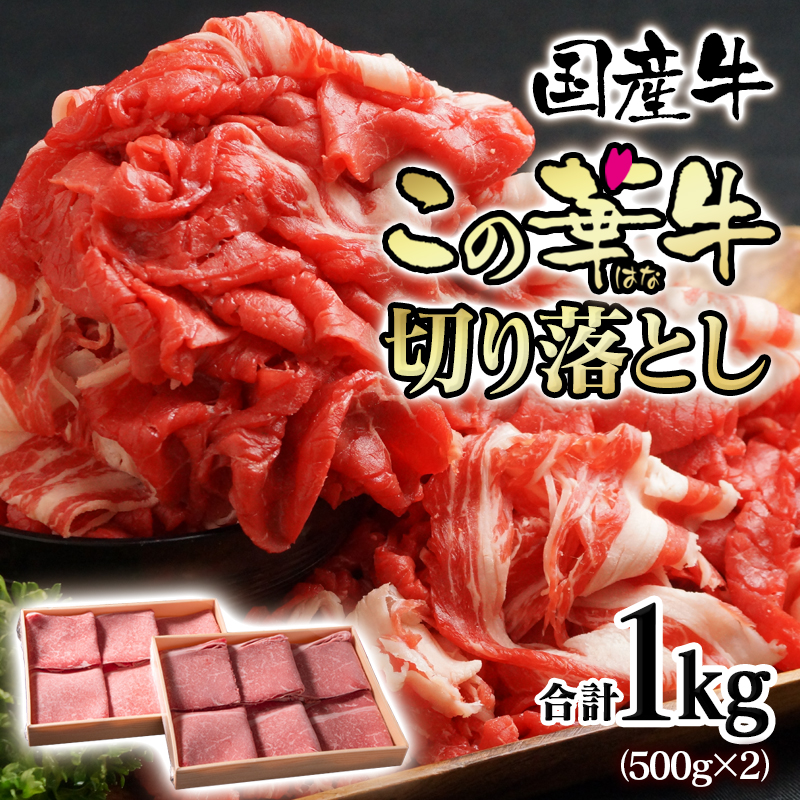 【世界グランプリ受賞】宮崎有田牧場 オリジナルブランド『この華牛』国産牛 切り落とし 1kg(500g×2パック)＜14-9a＞