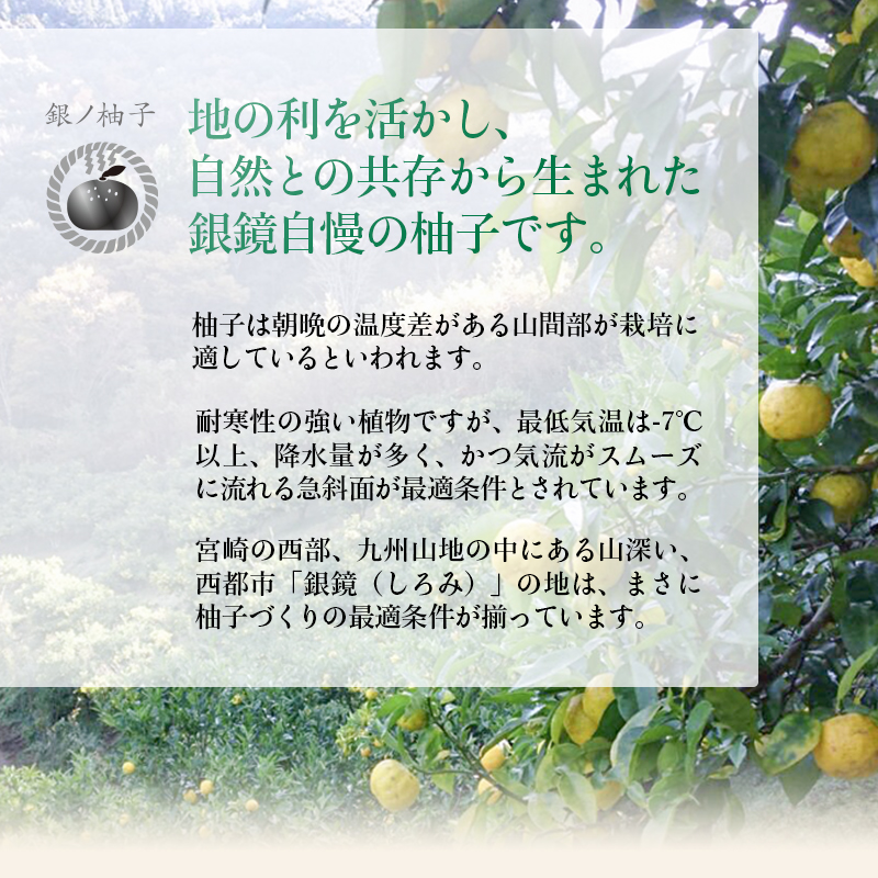 「銀の柚子」PREMIUM有機ゆず製品詰め合わせ 柚子胡椒 甘納豆 ゆずシロップ＜4-5a＞