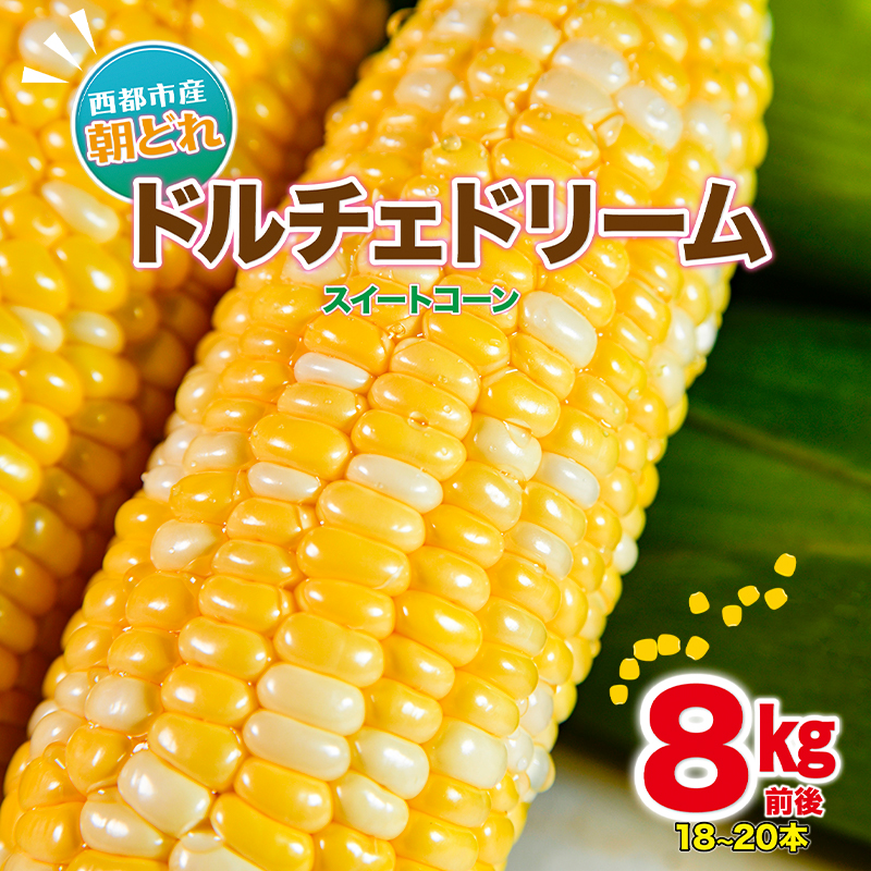 2027年発送 初夏の味覚！鮮度が命 村田さん家の朝どれスイートコーン『ドルチェドリーム』8kg前後 生産者直送【先行予約 】＜63-2a＞