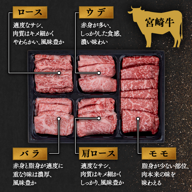 宮崎牛＆宮崎県産豚肉 焼肉10種盛り 食べ比べセット計600g  4等級以上 内閣総理大臣賞4連覇＜47-3b＞
