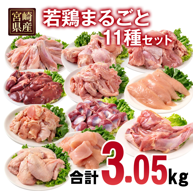 宮崎県産若鶏 11種 3.05kgセット 小分け もも肉 むね肉 筋なしささみ 砂肝等々11種 小分け 11パック とり肉 国産 真空パック 切身 切り身モモ肉 ムネ肉 ササミ＜70-8a＞