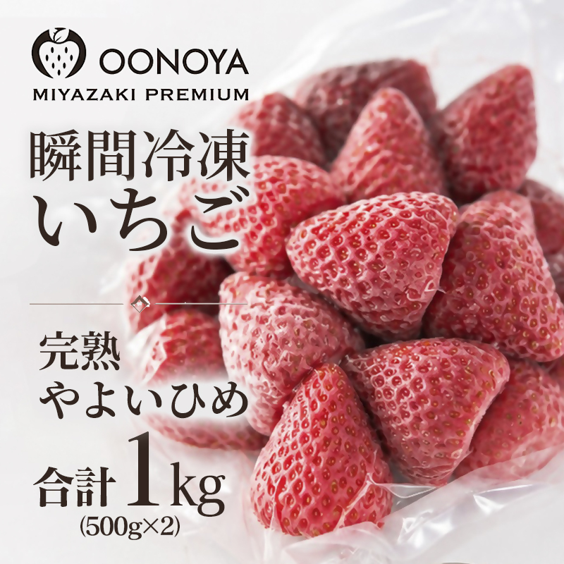 苺大野屋 瞬間冷凍 完熟苺やよいひめ1kg（500g×2）宮崎県西都市産＜28-7a＞
