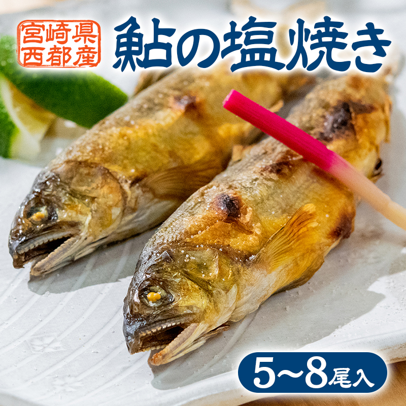 鮎の塩焼きギフト 5~8尾入り＜25-7a＞