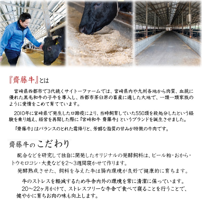 黒毛和牛 「宮崎和牛 齋藤牛」 ローススライス400g＜5-14a＞