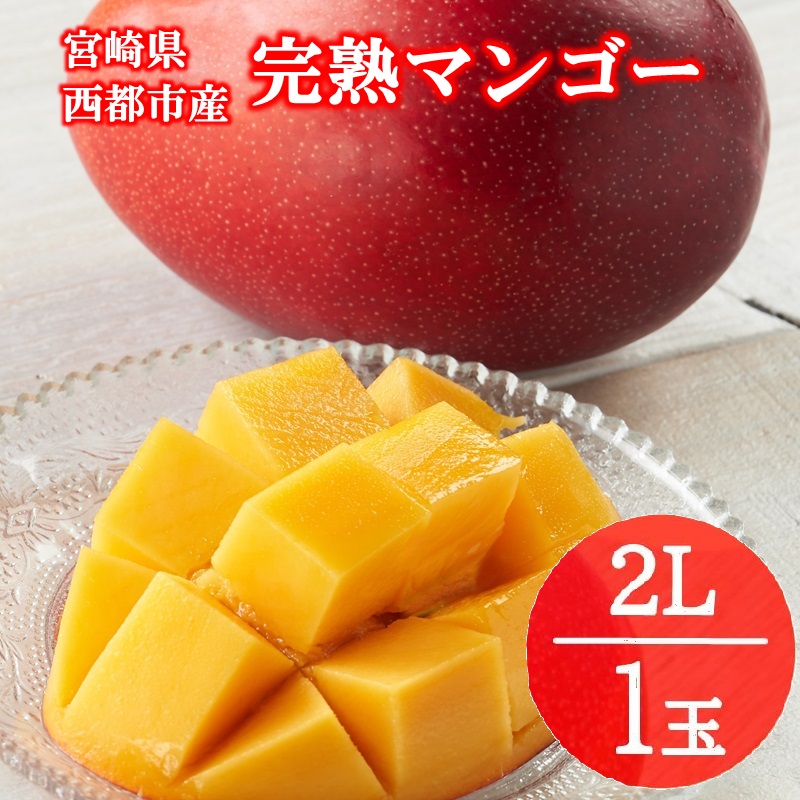 2027年発送 西都産完熟マンゴー  2L×1玉【先行予約】宮崎マンゴー＜73-1b＞