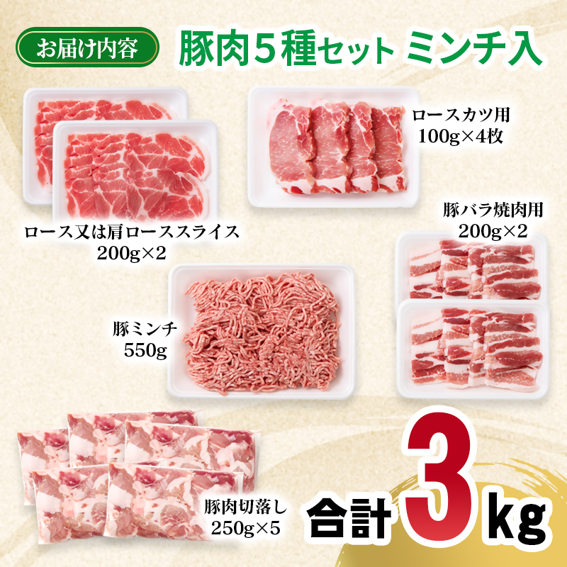 宮崎県産豚肉 5種 3kgセット スライス とんかつ 焼肉 切り落とし ミンチ 小分け 11パック しゃぶしゃぶ 豚すき焼き トンカツ バラ焼肉 炒め物 切落し ミンチ 挽肉＜70-22a＞