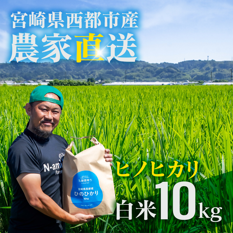 【令和8年産新米・先行予約】ヒノヒカリ 10kg ※10月下旬以降順次発送予定 精米済み＜ 57-4a＞