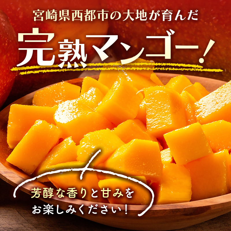 2027年発送 訳あり「ご家庭用」宮崎県西都市産完熟マンゴー2kg 先行予約＜18-11a＞