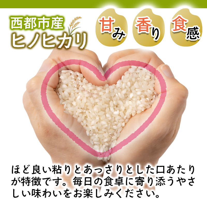 【先行受付】新米 令和8年産 ひのひかり 5kg 台地の恵み『お子め』　西都市産【※10月以降順次発送】精米済み＜59-2a＞