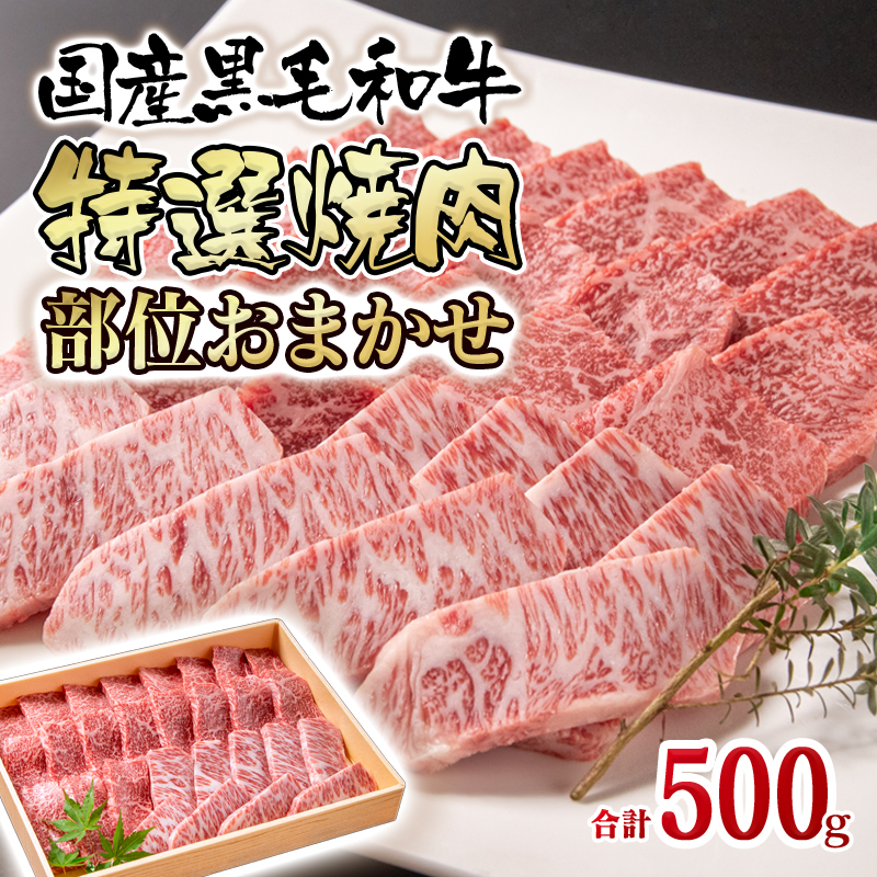 【世界グランプリ受賞】黒毛和牛 希少部位を含む特選焼肉 500g＜14-11a＞