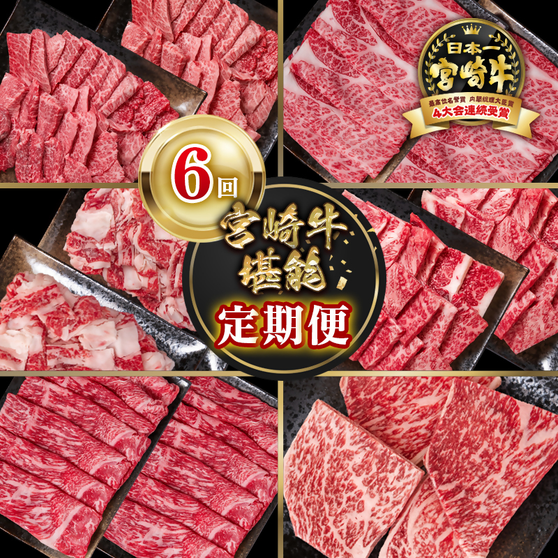 【定期便】宮崎牛 6回定期便  ブランド牛 A4～A5等級 内閣総理大臣賞4連覇＜58-47a＞