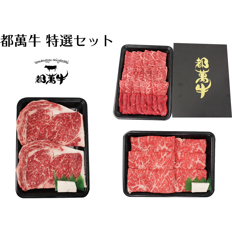 都萬牛 黒毛和牛特選セット 牛肉 すき焼き・焼肉・ステーキ＜6-1a＞