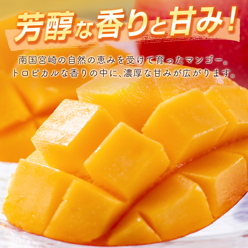 2027年発送 宮崎県西都市産完熟マンゴー2L×2個 西都市特産品 宮崎マンゴー 先行予約＜18-5a＞