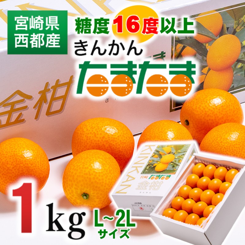 糖度16度以上の宮崎完熟きんかんたまたま1kg L～2Lサイズ【先行予約】＜2-4a＞