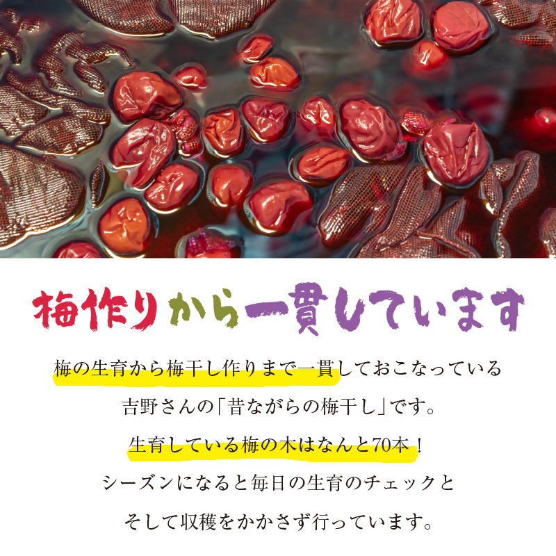 『南高梅』梅干し 合計900g（180g×5パック） 小分け＜18-1a＞