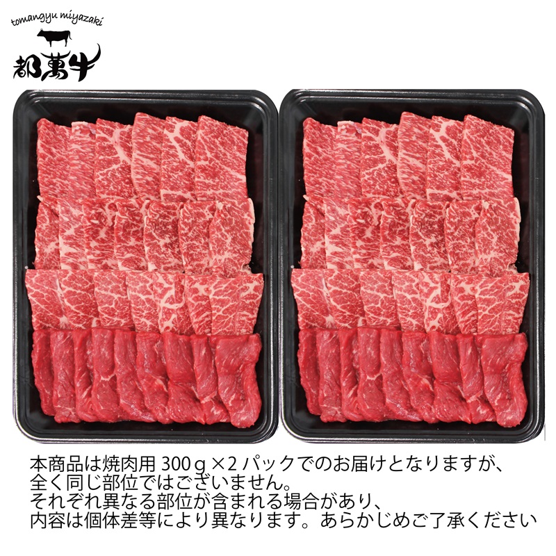 【お歳暮ギフト】都萬牛 黒毛和牛焼肉 600g（300g×2）小分け 国産牛肉 焼き肉 カルビ・ロース・モモ・カタ等＜6-5a＞